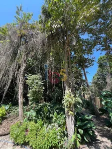 Lote/Terreno à venda, 250m² no Trancoso, Porto Seguro