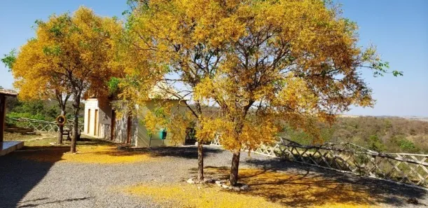 Fazenda/Sítio com 10 Quartos à venda, 100000m² no , Goianápolis