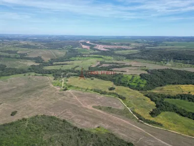 Fazenda/Sítio com 3 Quartos à venda, 4977200m² no Setor Central, Silvânia