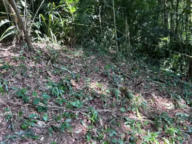 Lote/Terreno à venda, 1800m² no Balneario Praia do Perequê, Guarujá