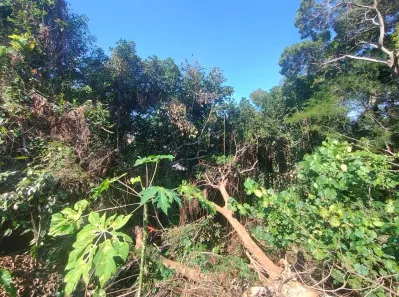 Lote/Terreno para venda ou aluguel, 60000m² no Vila Valqueire, Rio de Janeiro
