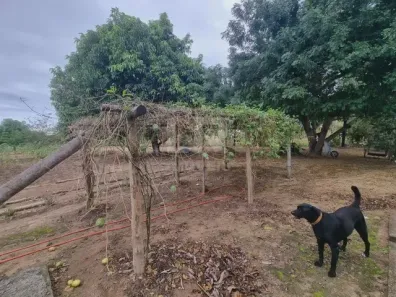Fazenda/Sítio com 5 Quartos à venda, 293m² no , Iguaba Grande