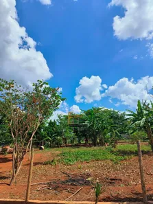Fazenda/Sítio com 3 Quartos à venda, 4000m² no , Leopoldo de Bulhões