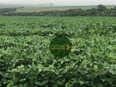 Fazenda/Sítio à venda, 5040000m² no , Buritis