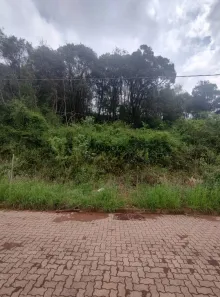 Lote/Terreno à venda, 150m² no Caminho da Eulália, Bento Gonçalves