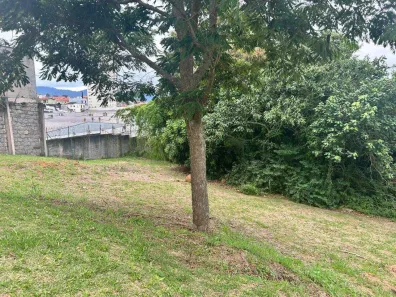 Lote/Terreno à venda, 300m² no Vila Oliveira, Mogi das Cruzes