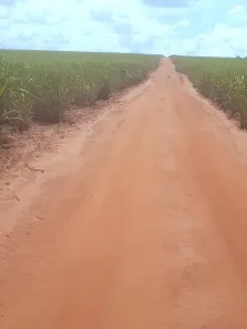 Fazenda/Sítio à venda, 12027400m² no , Cruzeiro do Oeste