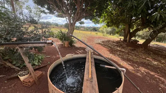 Fazenda/Sítio com 2 Quartos à venda, 5900m² no , Nerópolis