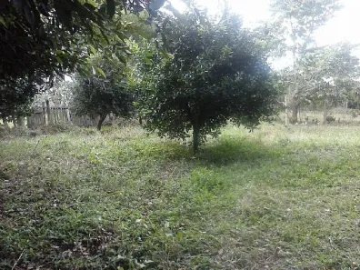 Lote/Terreno à venda, 1000m² no Caju, Nova Santa Rita