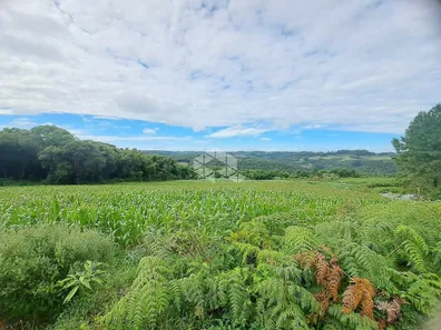 Fazenda/Sítio com 1 Quarto à venda, 208m² no Área Rural de Farroupilha, Farroupilha