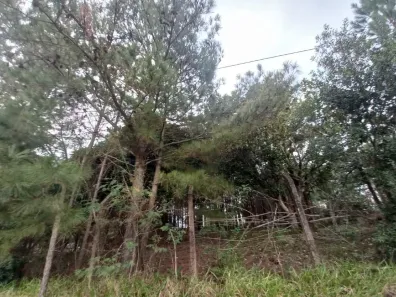Lote/Terreno à venda, 3000m² no Krahe, Viamão
