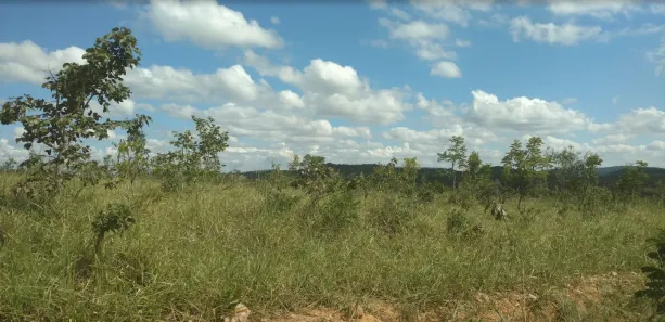 Lote/Terreno à venda, 20000m² no , Cordisburgo