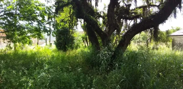 Lote/Terreno à venda, 1426m² no Augusta, Viamão