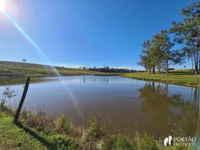Fazenda/Sítio com 3 Quartos à venda, 10000m² no , Cafelândia