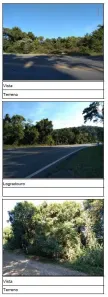Lote/Terreno com 1 Quarto à venda, 10474m² no São Vendelino, Bento Gonçalves
