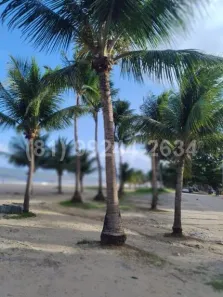 Flat com 1 Quarto à venda, 30m² no Candeias, Jaboatão dos Guararapes