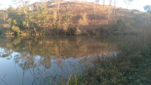 Fazenda/Sítio à venda, 150m² no Centro, Padre Bernardo