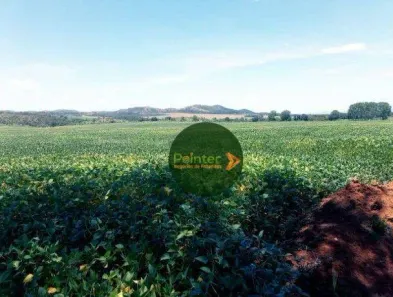 Fazenda/Sítio à venda, 5953200m² no , Niquelândia