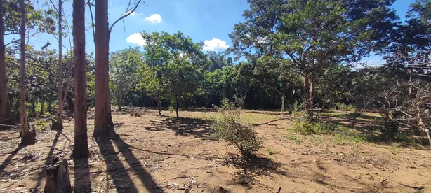 Fazenda/Sítio com 1 Quarto à venda, 10000m² no Chácaras Ipanema, Valparaíso de Goiás