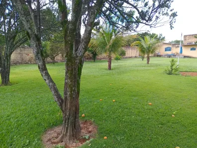 Fazenda/Sítio com 3 Quartos à venda, 6000m² no , Brasília