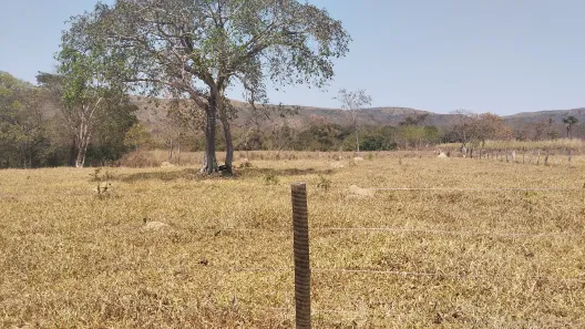 Fazenda/Sítio à venda no , Buritis