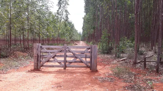 Lote/Terreno à venda, 20000m² no Cordisburgo, Cordisburgo