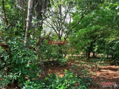 Fazenda/Sítio para alugar, 6052m² no , Paiçandu