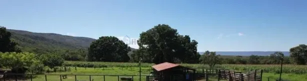 com 3 Quartos à venda, 180m² no , Buritis