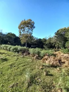 Lote/Terreno à venda, 26666m² no Bela Vista, Caxias do Sul