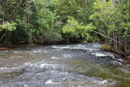 Lote/Terreno à venda, 200000m² no , Presidente Figueiredo