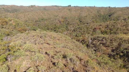 Fazenda/Sítio à venda, 20000m² no , Brasília