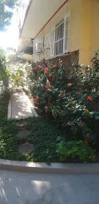 Apartamento com 1 Quarto para alugar, 34m² no Rio Comprido, Rio de Janeiro