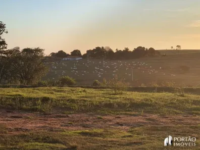 Fazenda/Sítio com 3 Quartos à venda, 10000m² no , Cafelândia