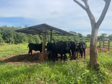 Fazenda/Sítio com 3 Quartos à venda, 72600m² no Área Rural de Inhumas, Inhumas