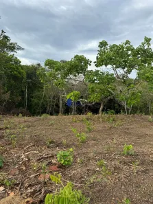 Fazenda/Sítio com 1 Quarto à venda, 3000m² no , Gameleira de Goiás