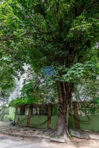 Lote/Terreno à venda, 1214m² no Horto Florestal, Salvador