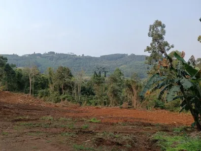 Lote/Terreno à venda, 20000m² no Linha Olinda, Nova Petrópolis