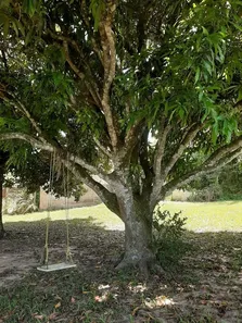 Fazenda/Sítio com 2 Quartos à venda, 2040m² no Centro, Iguaba Grande