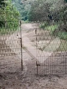 Fazenda/Sítio à venda, 70000m² no , Altos