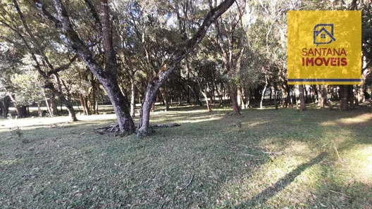 Ponto Comercial para alugar, 465m² no São Caetano, Balsa Nova
