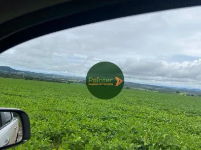 Fazenda/Sítio à venda, 5614400m² no , Jaraguá