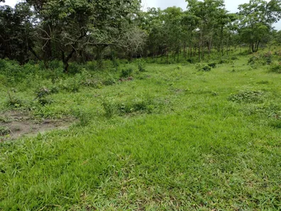 Lote/Terreno à venda, 20000m² no , Fortuna de Minas