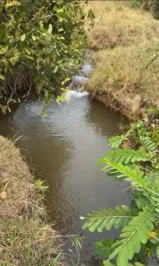 Fazenda/Sítio à venda, 22760000m² no Centro, Formiga