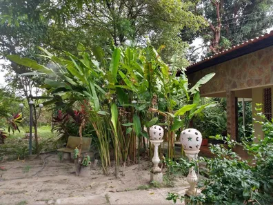 Fazenda/Sítio à venda, 800m² no Tranqueira, Altos