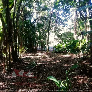 Fazenda/Sítio com 1 Quarto à venda, 12900m² no , Antonina