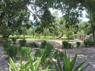 Fazenda/Sítio com 4 Quartos à venda, 5000m² no Hararas da Peniche, Tanguá