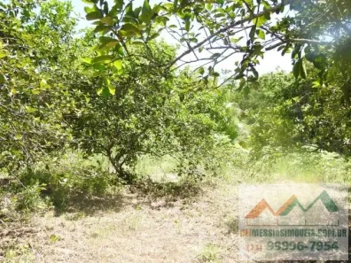 Fazenda/Sítio com 2 Quartos à venda, 86000m² no , Tanguá