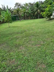 Fazenda/Sítio com 3 Quartos à venda, 175m² no Campo Grande, Rio de Janeiro