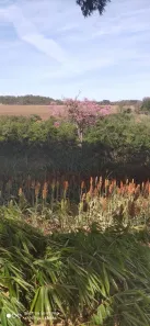 Fazenda/Sítio com 2 Quartos à venda, 484000m² no São Sebastiao, Silvânia