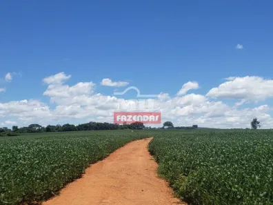 Fazenda/Sítio à venda, 20000m² no , Silvânia